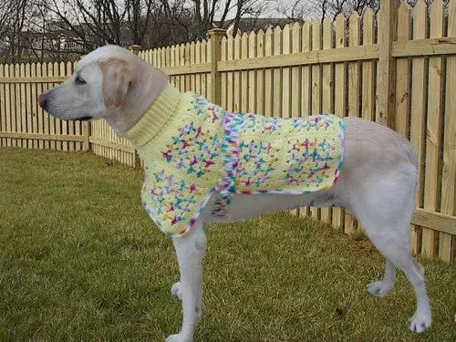 Dog Ponchos Crochet Pattern