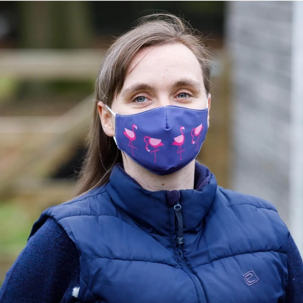 Facemasks with HeiQ Viroblock Technology - NAVY FLAMINGO